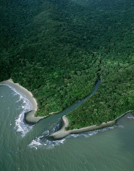 Aerial - Tropical rainforest near Cape Tribulation Daintree National Park, Queensland, Australia JPF50066