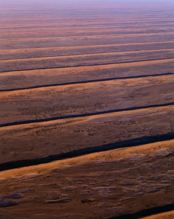 Framed Print : Aerial view - Dunefields, dunes and interdune corridors 30m+ high and rarely branched, Central-east Simpson Desert, South Australia, August 1997 JPF48132