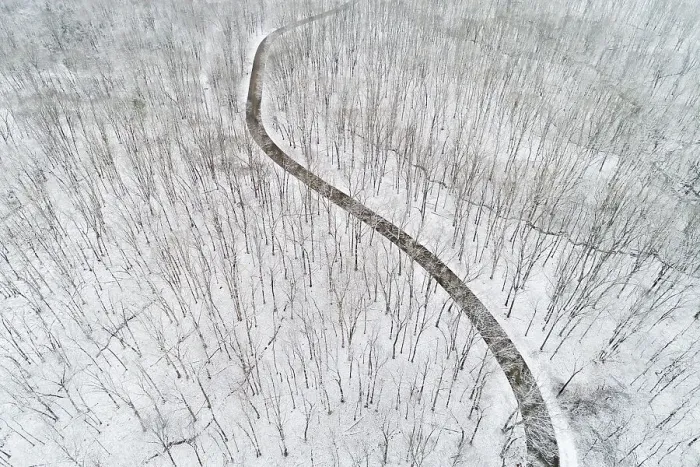 Framed Print : Aerial view of a fresh snow over the forest and road, Marion County, Illinois Date: 30-01-2020 Framed Print : Aerial view of a fresh snow over the forest and road, Marion County, Illinois Date: 30-01-2020