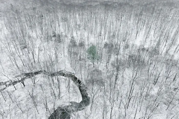 Framed Print : Aerial view of woods after a snowfall, Marion County, Illinois Date: 16-12-2020 Framed Print : Aerial view of woods after a snowfall, Marion County, Illinois Date: 16-12-2020