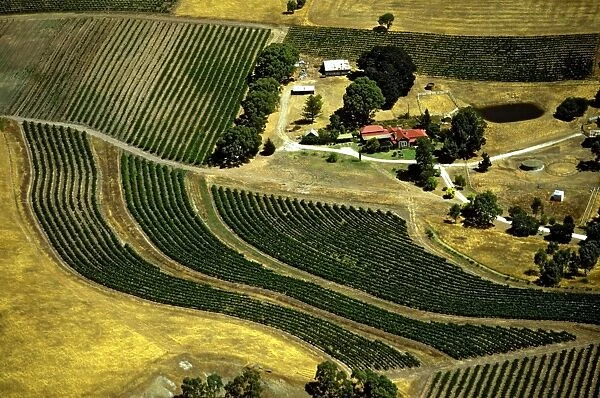 Aerial - Vineyards on edge of Barossa Valley, from the air South Australia JLR06678