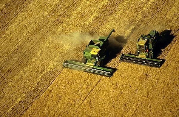 Aerial - Wheat being harvested two combine harvesters