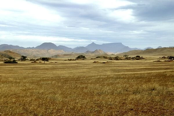 Africa Damaraland. near Khorixas, Namibia