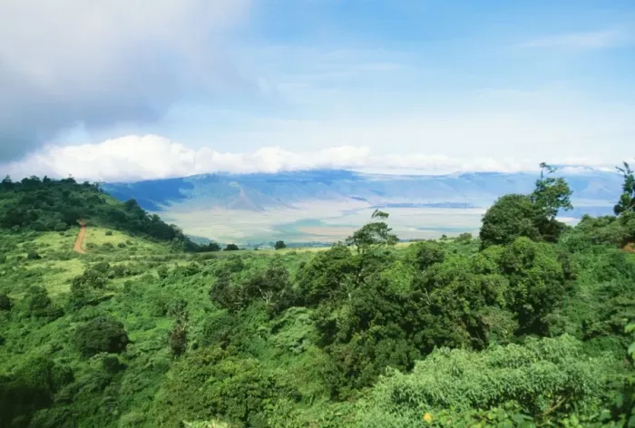 Framed Print : Africa FL 1994 Ngorongoro crater, Ngorongoro conservation zone, World Heritage, Tanzania Africa. © Ferrero Labat / ARDEA LONDON Framed Print : Africa FL 1994 Ngorongoro crater, Ngorongoro conservation zone, World Heritage, Tanzania Africa. © Ferrero Labat / ARDEA LONDON