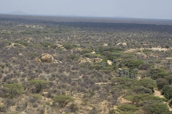 Africa - Kenya - Biliqo Bulesa Conservancy