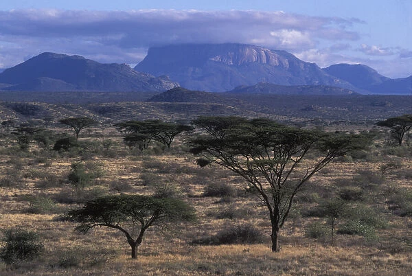 Africa, Kenya, Samburu National Reserve
