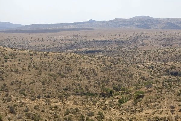 Africa - Kenya - savannah