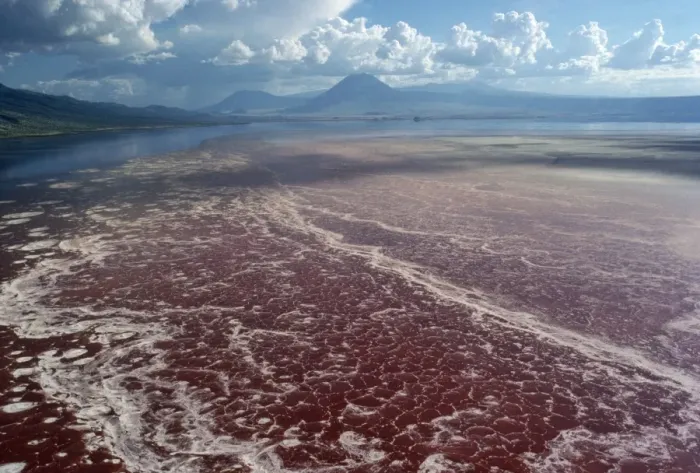 Framed Print : Africa Lake Natron, Tanzania, Africa Framed Print : Africa Lake Natron, Tanzania, Africa