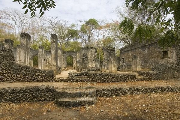 Africa - Ruins of Great Mosque Gedi in the Arabuko-Sokoke forest near Malindi, Kenya