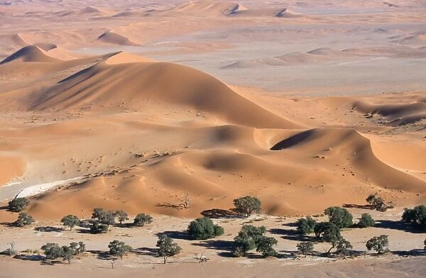 Africa - sandhills Namib Desert, Namibia, Africa