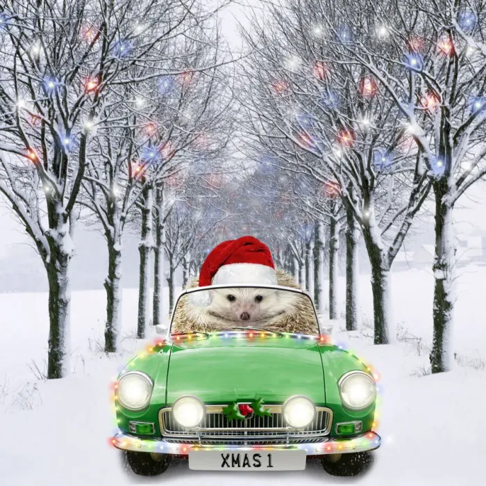 Framed Print : AL-2045. Hedgehog in sports car driving down tree-lined avenue with Christmas lights Date Framed Print : AL-2045. Hedgehog in sports car driving down tree-lined avenue with Christmas lights Date