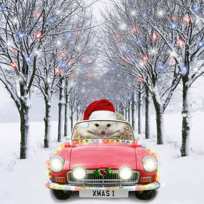Framed Print : AL-2045. Hedgehog in sports car driving down tree-lined avenue with Christmas lights Date Framed Print : AL-2045. Hedgehog in sports car driving down tree-lined avenue with Christmas lights Date