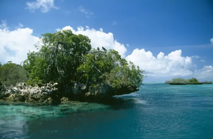 Framed Print : Aldabra WAT 5892 Lagoon, Indian Ocean. © M. Watson / ardea. com Framed Print : Aldabra WAT 5892 Lagoon, Indian Ocean. © M. Watson / ardea. com