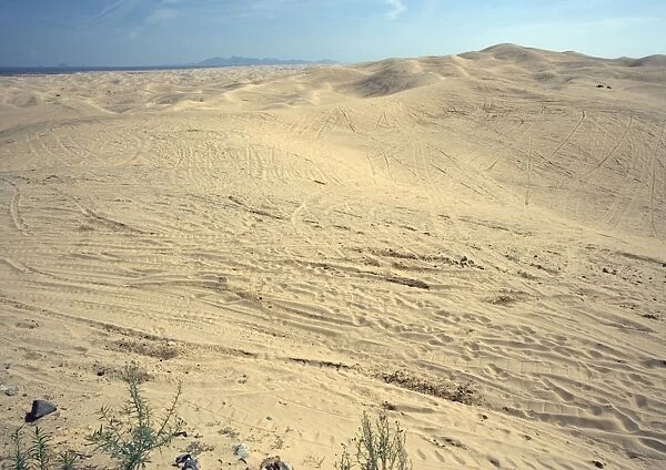 Algodones dunes - huge off-road vehicle recreation area, now devoid of vegetation. SE California, near Mexican border, USA