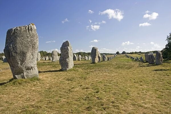 Alignements de Menec lines of prehistoric megaliths or standing stones Carnac Brittany France
