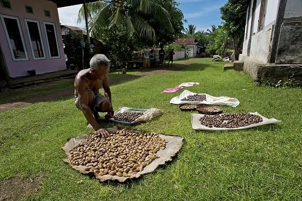 Almonds and Nutmeg - drying in the sun