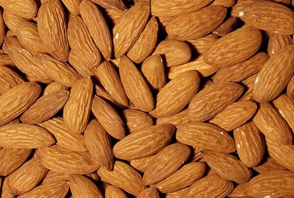 Almonds - whole, shelled, roasted. Native to Central Asia