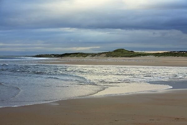 Alnmouth - Beach at the river Aln estuary, Northumberland National park, England
