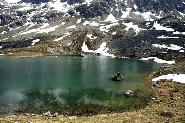 Alpine Lake, Julier Pass, Switzerland / Italy Oligotrophic - Little organic matter formed which makes water low in nutrients