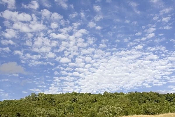 Altocumulus clouds in deep blue sky above landscape of woodland, Cotswolds, UK