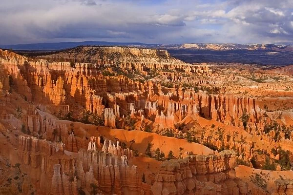 Amphitheatre - view from Sunset Point over the amphitheatre of hoodoos and eroding fins of Bryce Canyon. In the evening - Bryce Canyon National Park, Colorado Plateau, Utah, USA
