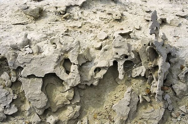 Ancient volcanic bombs - near extinct mud vulcano Karaburum - near Kumdag - Turkmenistan - Spring - April Tm31. 0290