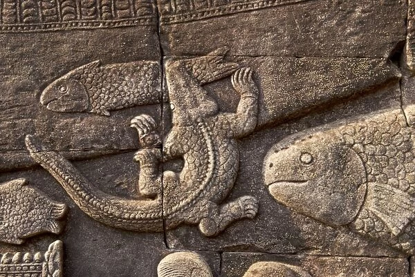 Angkor Bayon bas-reliefs Fish and crocodile - Cambodia