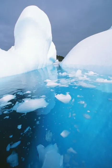 Framed Print : Antarctic RS 32 Iceberg melting © Robyn Stewart  /  ARDEA LONDON