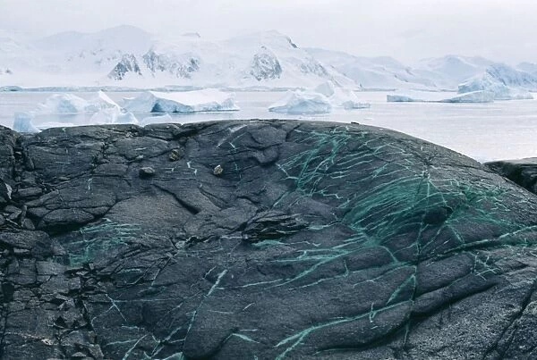 Antarctica - copper veins in rock, Horse Shoe Island