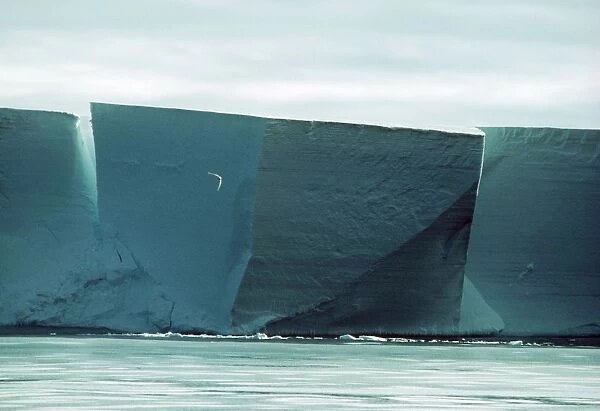 Antarctica Iceshelf, approx 140 high