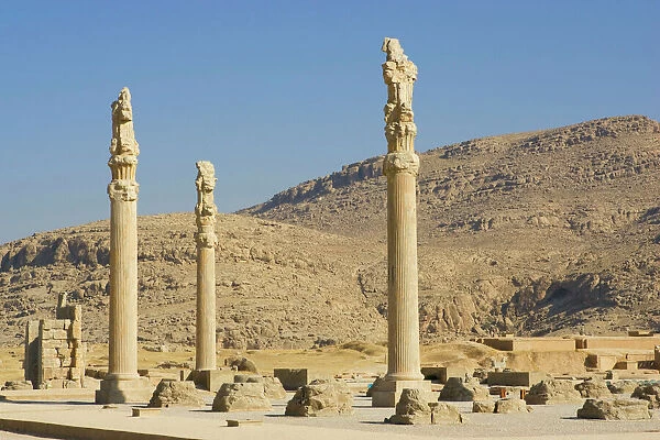 Apadana Palace, Persepolis, Iran. Began by Darius the Great and completed by his son Xerxes I 30 years later in 480 BC, the palace was used by The King of Kings for official audiences