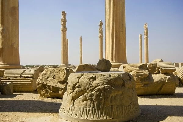 Apadana Palace, Persepolis, Iran. Remains of the original 72 columns of the Apadana Palace