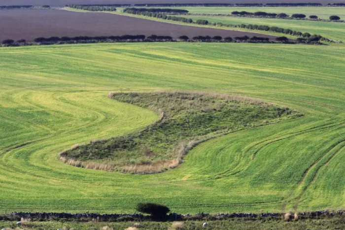 Framed Print : Arable Fields - hedges and fallow land beside North Sea coast, Northumberland, England