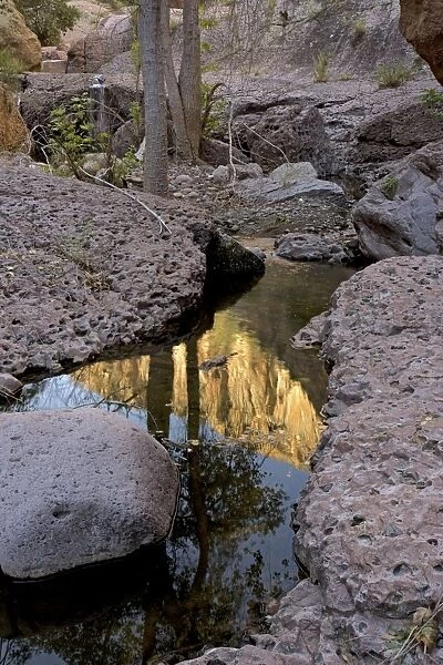 Aravaipa Canyon Wilderness - reflection of cliffs above showing in creek - Located about 50 miles northeast of Tucson - Federal Wilderness Area - Arizona - USA