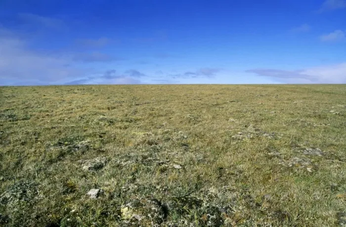 Framed Print : Arctic tundra landscape - a typical plain near Dikson, Russian Arctic. A typical habitat of Siberian Lemming. Summer, August. Di32. 0219 Framed Print : Arctic tundra landscape - a typical plain near Dikson, Russian Arctic. A typical habitat of Siberian Lemming. Summer, August. Di32. 0219
