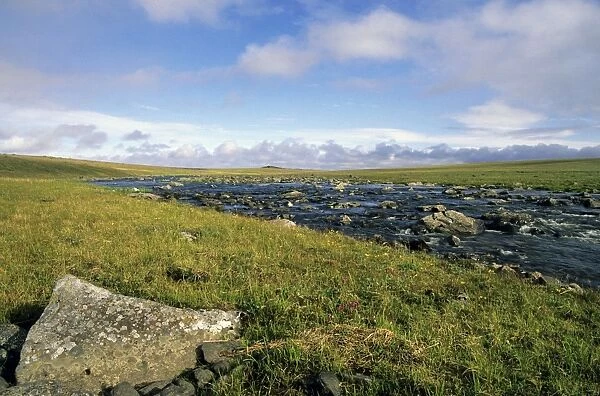 Arctic tundra, a typical landscape with a small river near Dikson, Russian Arctic. August. Di32. 1274