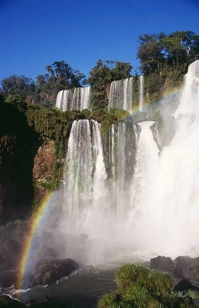 Argentina BLT 384 Iguazu falls, Subtropical Rainforest, Misiones Province. © Yves Bilat  /  ARDEA LONDON