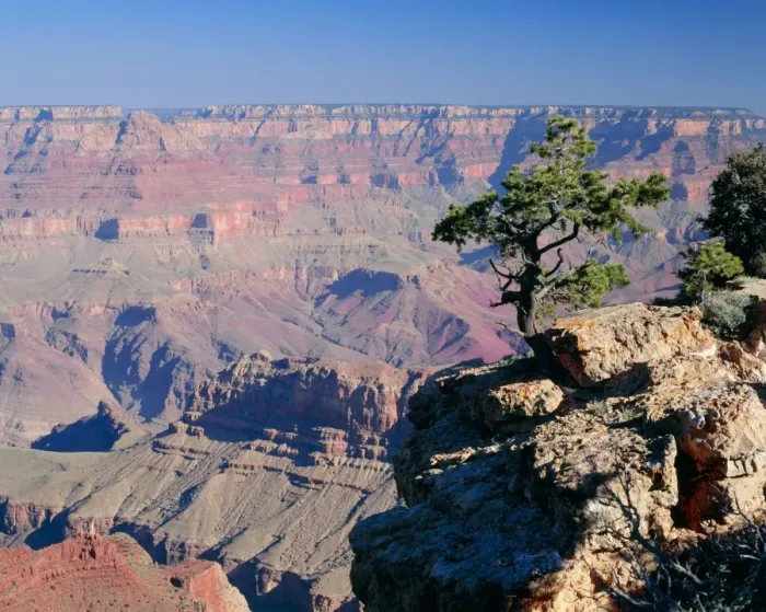 Framed Print : Arizona, USA Grand Canyon Framed Print : Arizona, USA Grand Canyon