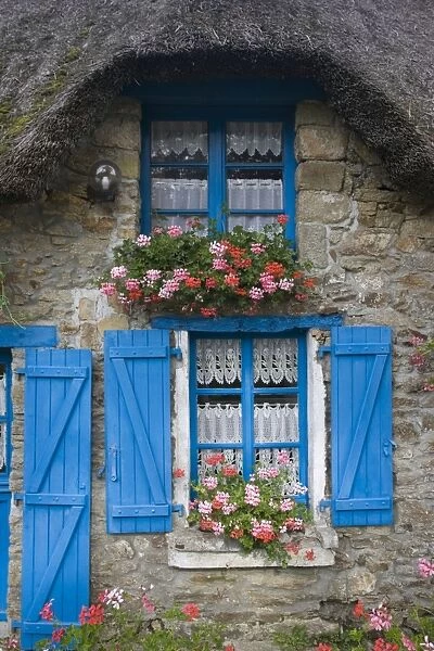 Attractive thatched French cottage blue door and shutters flowers window boxes Brittany France