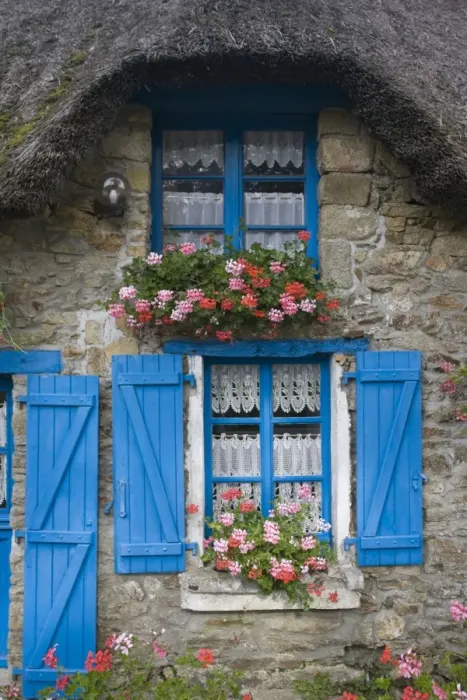 Framed Print : Attractive thatched French cottage blue door and shutters flowers window boxes Brittany France Framed Print : Attractive thatched French cottage blue door and shutters flowers window boxes Brittany France