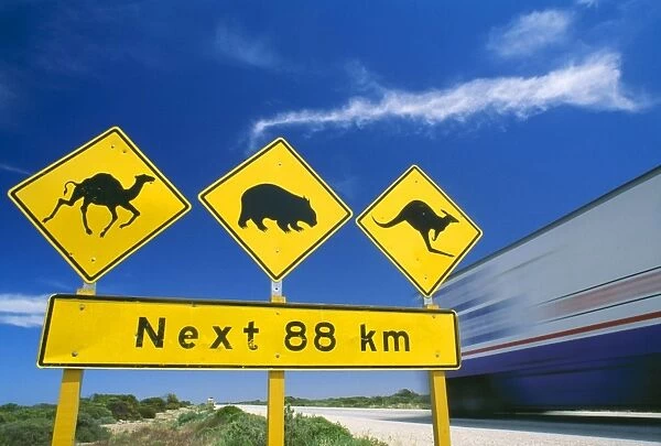 Australia. JPF-8286. Australia. Road sign Nullarbor Highway, Camel, Wombat, Kangaroo