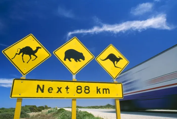Framed Print : Australia. JPF-8286. Australia. Road sign Nullarbor Highway, Camel, Wombat, Kangaroo Framed Print : Australia. JPF-8286. Australia. Road sign Nullarbor Highway, Camel, Wombat, Kangaroo