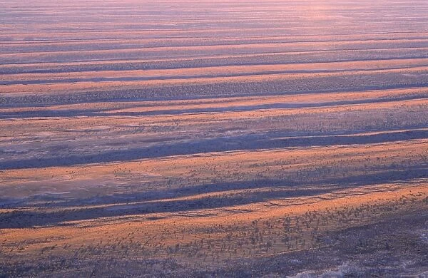 Australia - dunefields. Sand dunes & claypans in interdune corridors South-eastern Simpson, South Australia