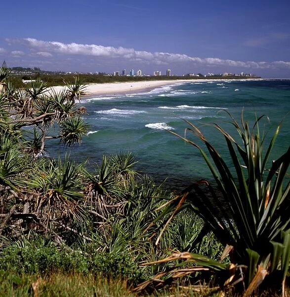 Australia - Looking north to the natural ocean beach with Pandanus headland vegetation and Coolangatta  /  Tweed heads in the background. The international tourist industry in the region relies on the good condition of the mountains, coast
