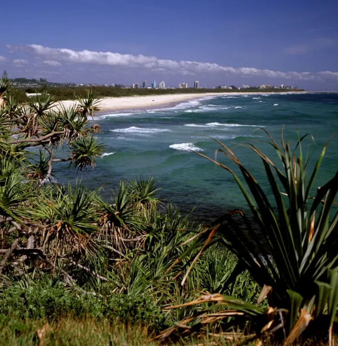 Framed Print : Australia - Looking north to the natural ocean beach with Pandanus headland vegetation and Coolangatta / Tweed heads in the background. The international tourist industry in the region relies on the good condition of the mountains, coast Framed Print : Australia - Looking north to the natural ocean beach with Pandanus headland vegetation and Coolangatta / Tweed heads in the background. The international tourist industry in the region relies on the good condition of the mountains, coast