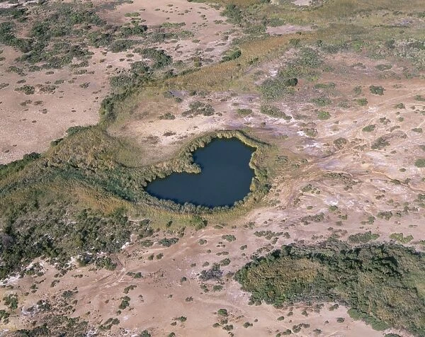 Australia Mound springs bringing to surface hot, heavily mineralised artesian water. water habitat for rare endemic wildlife. Witjira National Park Dalhousie Springs, South Australia
