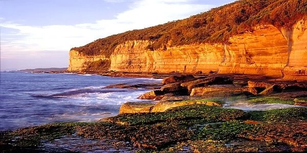 Australia, New South Wales, South Coast Murramarang National Park, Depot Beach