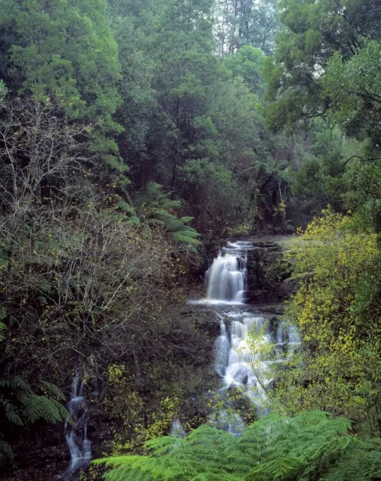 Framed Print : Australia - Turton creek waterfall East Gipsland. Victoria Framed Print : Australia - Turton creek waterfall East Gipsland. Victoria