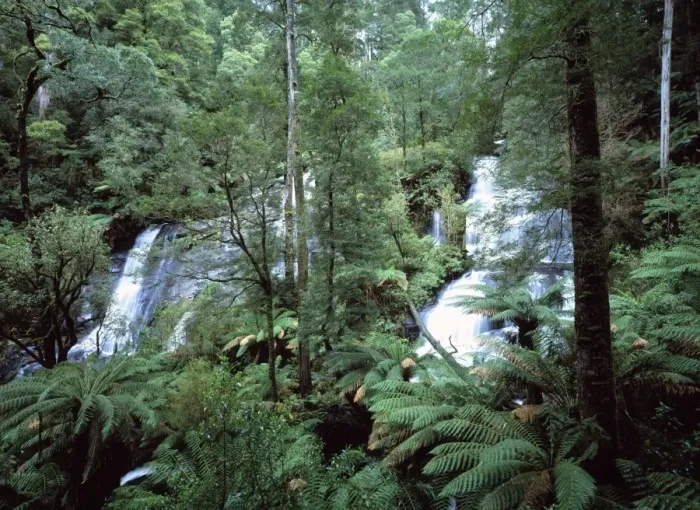 Framed Print : Australia - Twins waterfalls in the Otway National Park southern tip of the state of Victoria