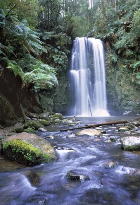 Framed Print : Australia - Waterfall in the Otway National Park southern tip of the state of Victoria Framed Print : Australia - Waterfall in the Otway National Park southern tip of the state of Victoria
